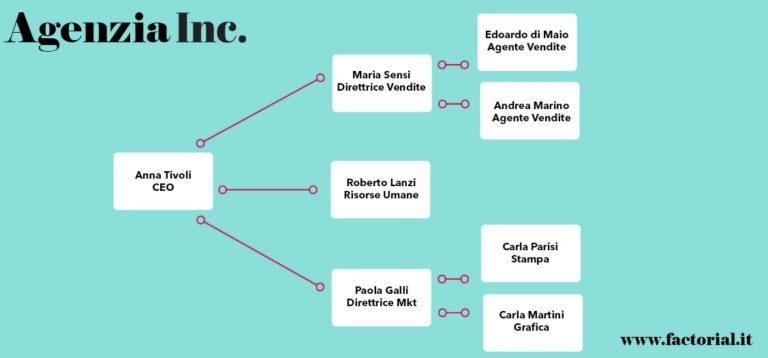 Organigramma aziendale: cos'è, tipologie, modelli ed esempi