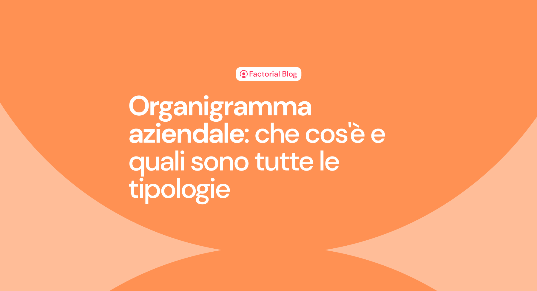 Organigrammi aziendali: tipologie, esempio e creazione [+ Modello]