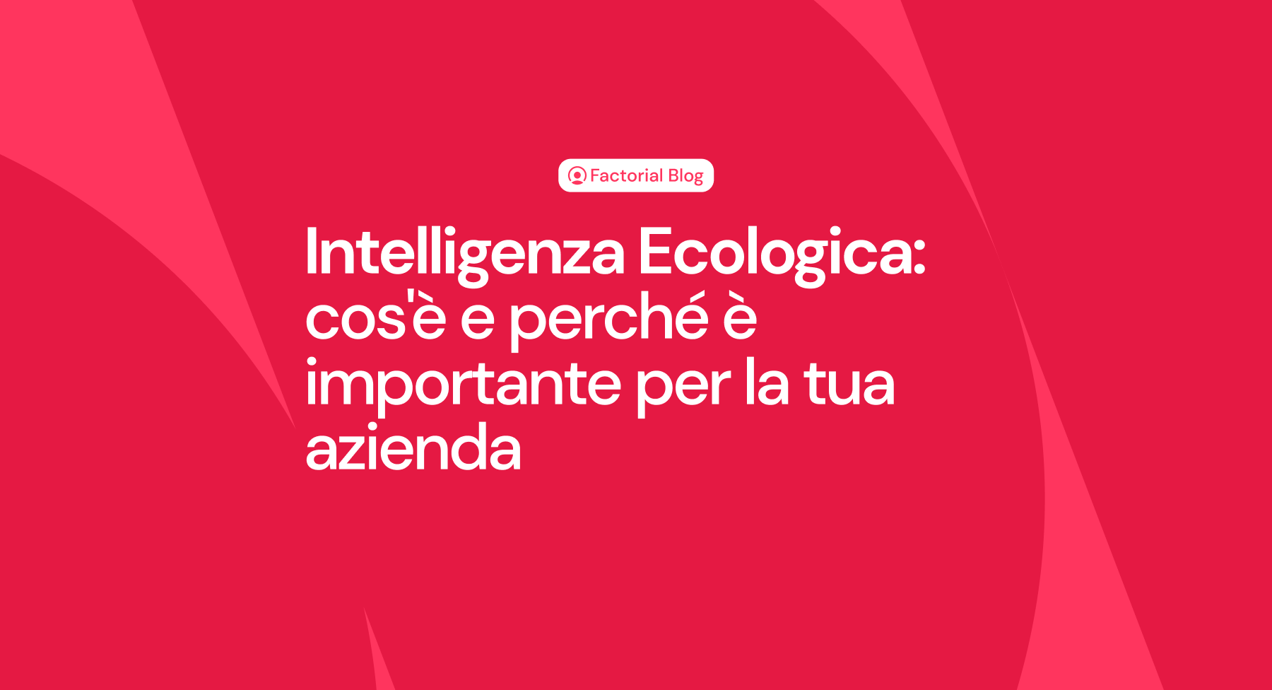 Intelligenza Ecologica: cos'è e perché è importante per la tua azienda