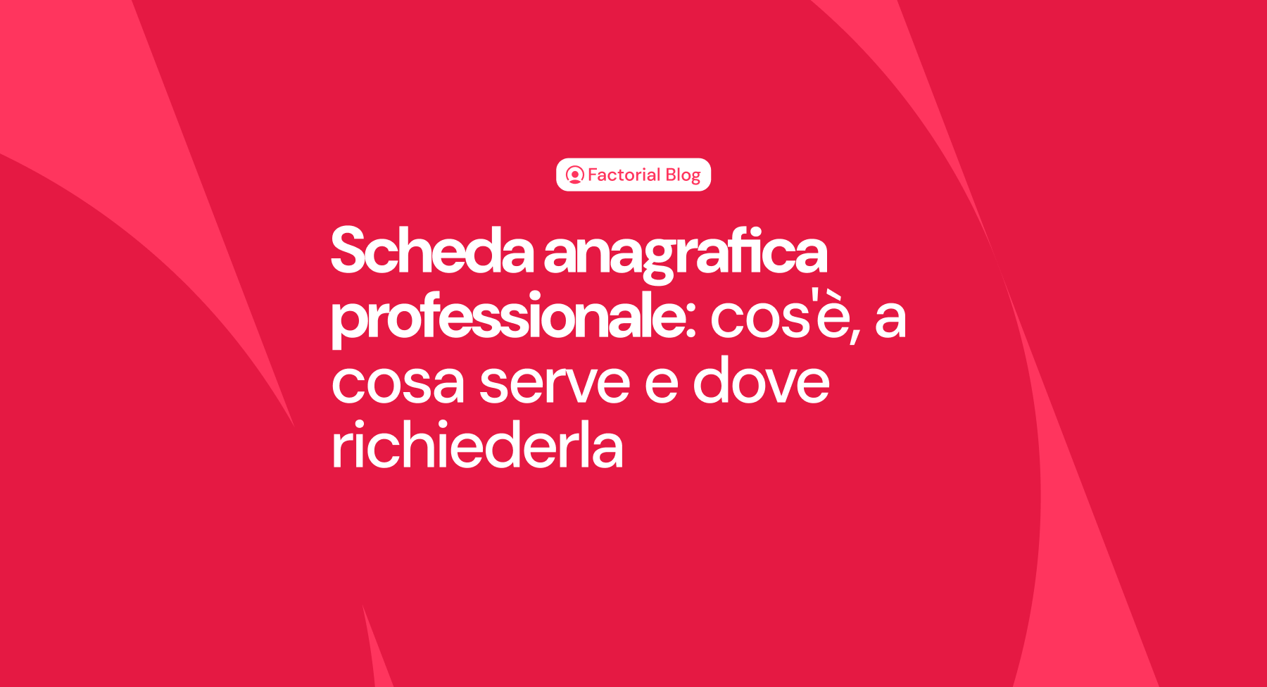 Scheda anagrafica professionale: cos'è, a cosa serve e dove richiederla