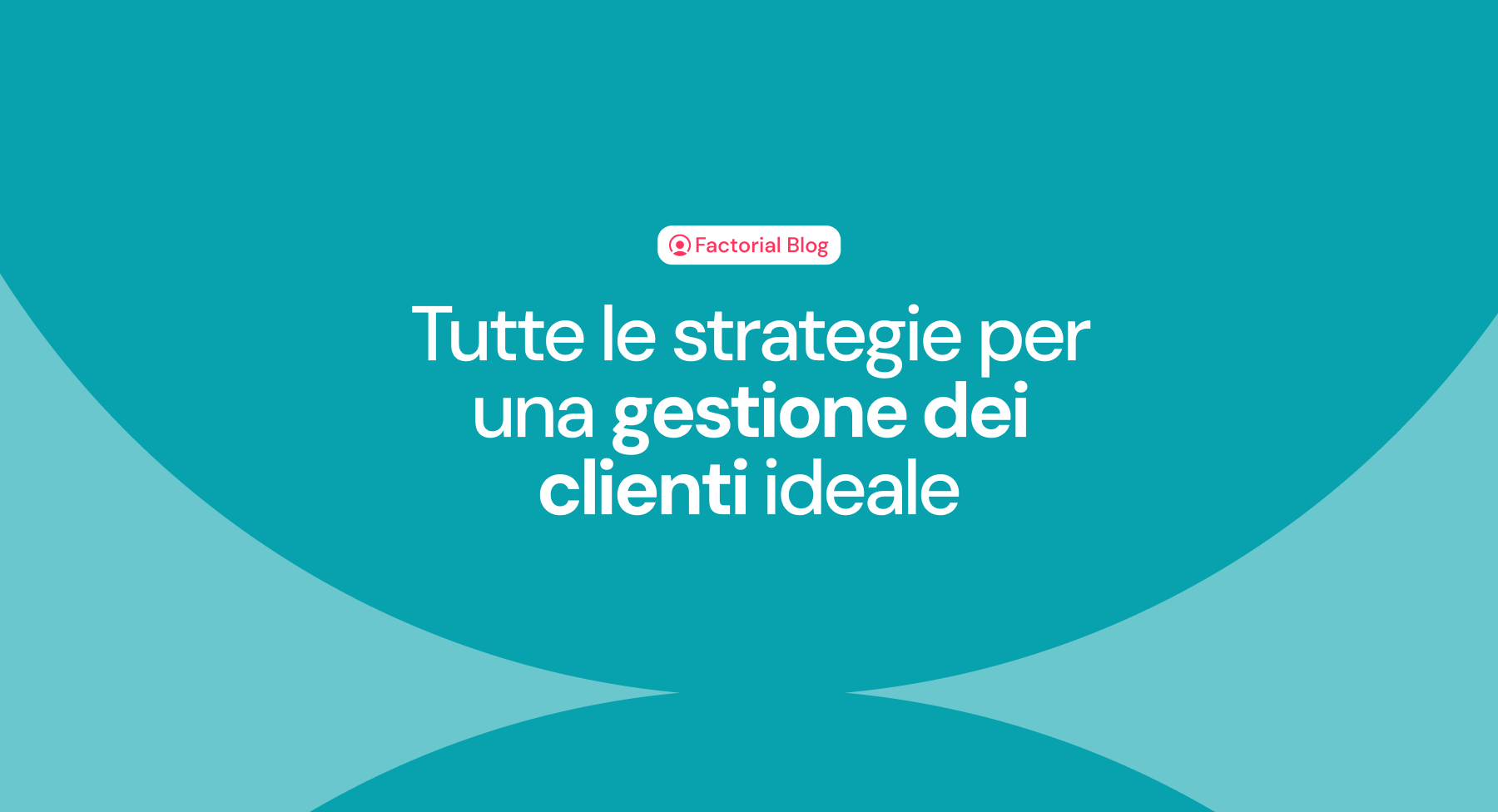 Tutte le strategie per una gestione dei clienti ideale