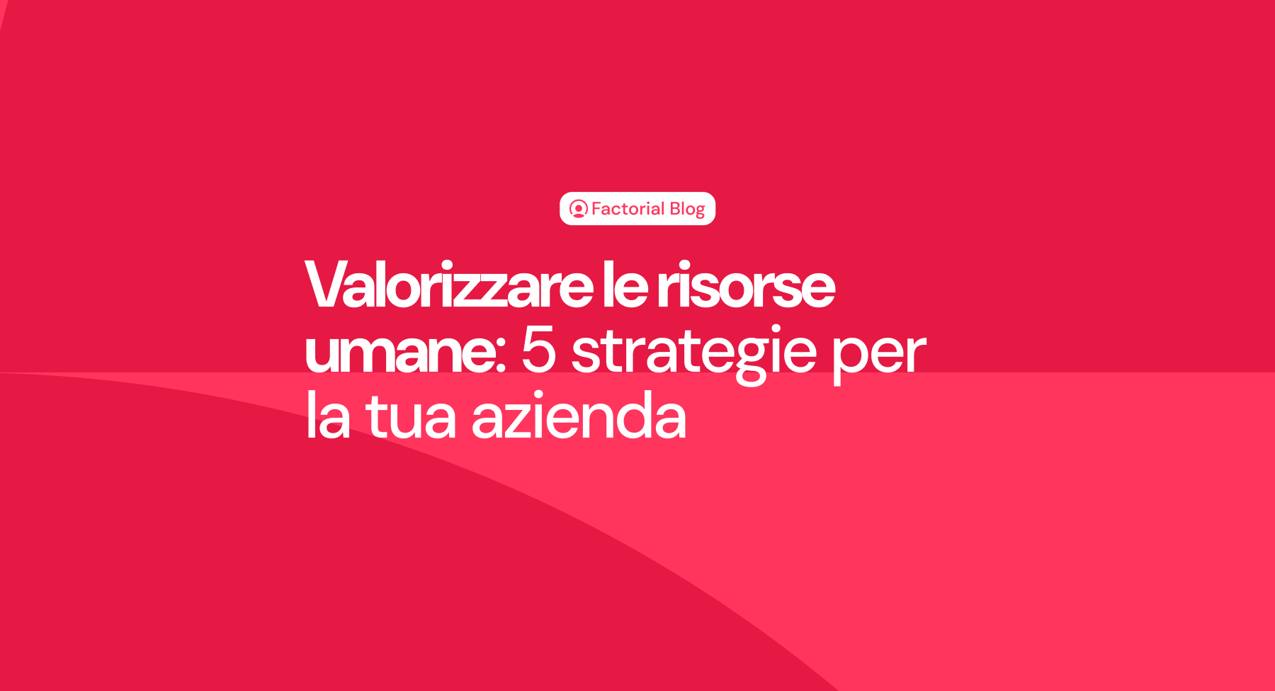 Valorizzare le risorse umane: 5 strategie per la tua azienda