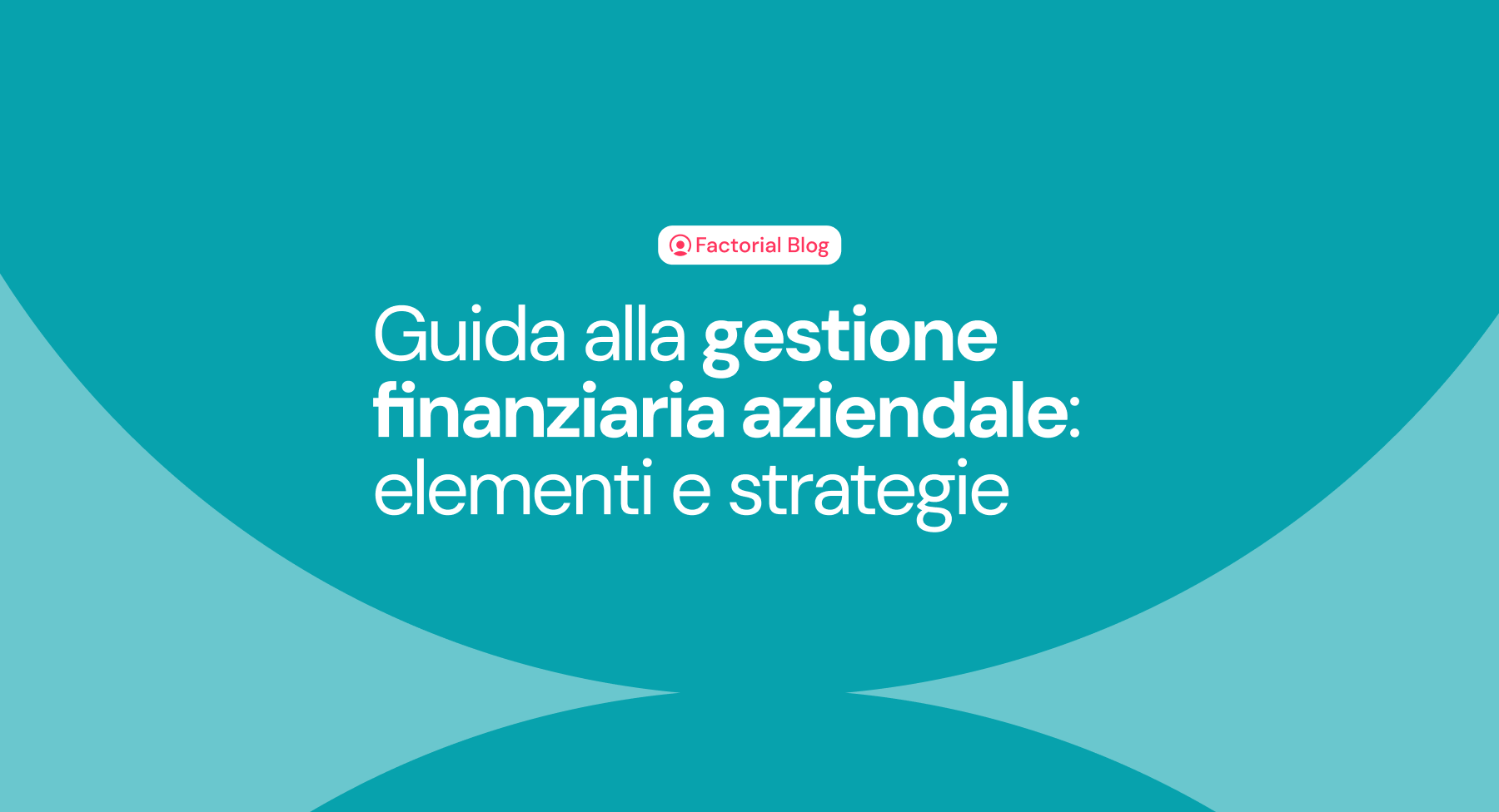 Guida alla gestione finanziaria aziendale: elementi e strategie