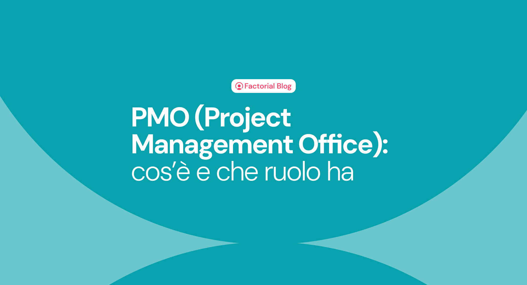 PMO (Project Management Office): cos’è e che ruolo ha