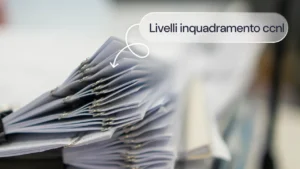 Livelli di inquadramento CCNL: tutto quello che devi sapere
